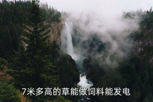 7米多高的草能做飼料能發(fā)電