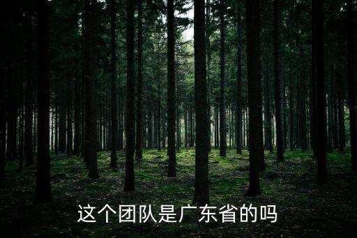 廣州潮汕商會陳鎮雄是哪里人，這個團隊是廣東省的嗎