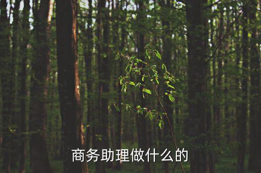 商務助理，什么是商務助理 職責是什么 面試商務助理的時候經常會問到什么問題