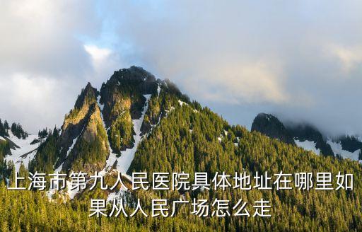 上海市第九人民醫(yī)院具體地址在哪里如果從人民廣場(chǎng)怎么走