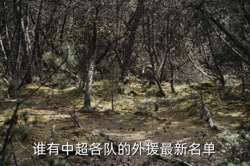 廣州中超外援名單，今年中超各隊所有外援的名單