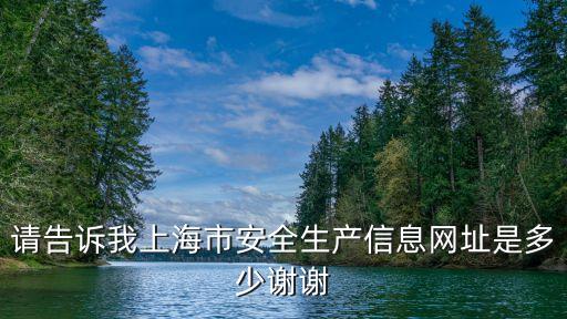 上海市安全局官網，誰知道上海安監局的網址是多少