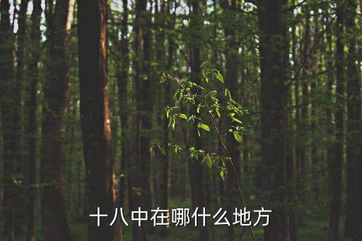 十八中在哪什么地方