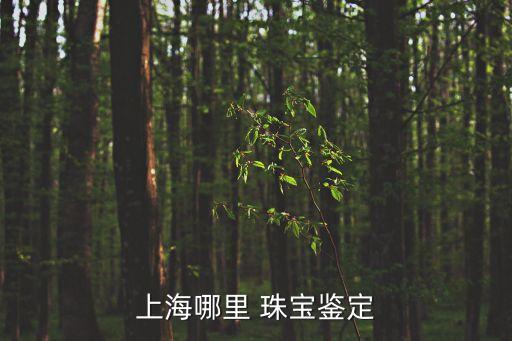 上海市金銀鑒定機構，上海哪里 珠寶鑒定