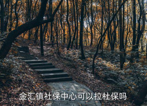 上海市金匯鎮(zhèn)社保中心，上海市社保中心在哪里
