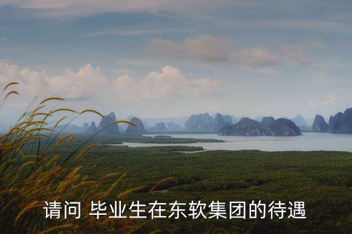 廣州東軟集團(tuán)轉(zhuǎn)正待遇，請(qǐng)問(wèn) 畢業(yè)生在東軟集團(tuán)的待遇
