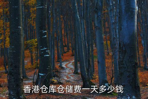 廣州香港倉儲報價，香港倉庫倉儲費一天多少錢