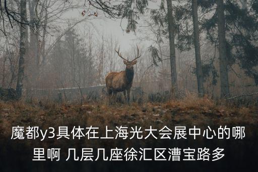 上海市徐匯區(qū)漕寶路33號8樓A座，上海市徐匯區(qū)漕寶路33號屬于田林街道嗎
