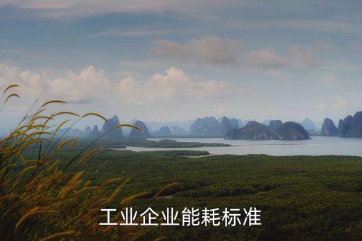 上海市工業(yè)能耗限額，上海現在的工業(yè)用電一度多少錢