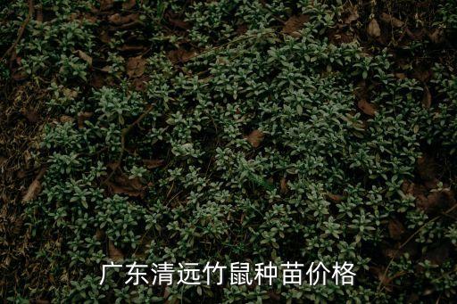 求購廣州清遠(yuǎn)竹鼠苗，清遠(yuǎn)竹鼠種苗