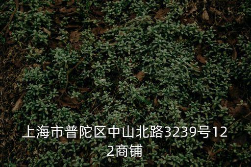 上海市普陀區中山北路3239號122商鋪