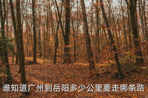 誰知道廣州到岳陽多少公里要走哪條路