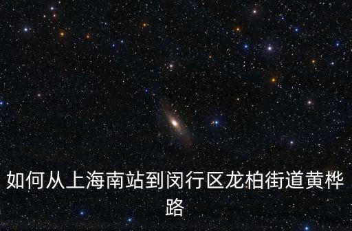 上海市黃樺路291號靠近哪里，如何從上海南站到閔行區龍柏街道黃樺路