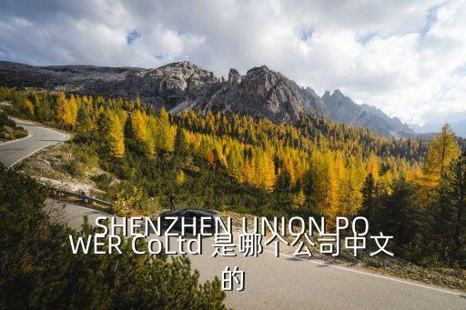 SHENZHEN UNION POWER CoLtd 是哪個(gè)公司中文的