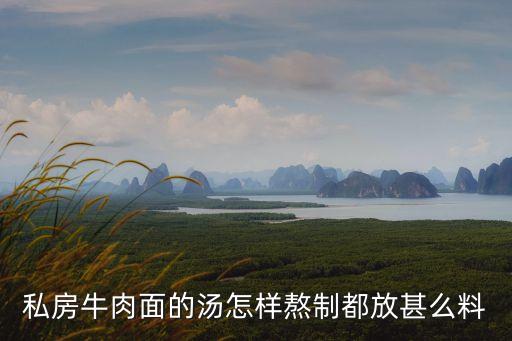 私房牛肉面，康師傅私房紅燒牛肉面怎么樣
