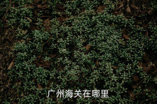 廣州大鐘樓海關還在嗎，廣州海關大鐘樓是否只有星期三開放