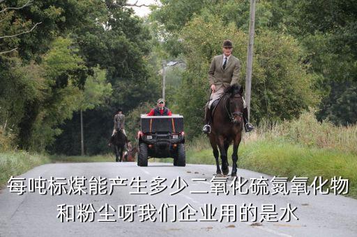 上海市燃煤電廠石膏雨和有色煙羽測試，地理題火電廠是什么導向型
