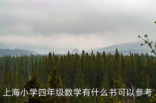 上海小學四年級數學有什么書可以參考