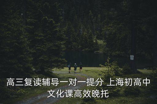 高三復讀輔導一對一提分 上海初高中文化課高效晚托