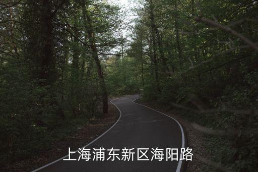 上海浦東新區海陽路