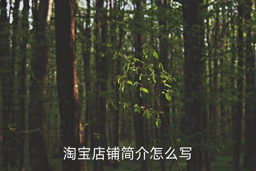 淘寶店鋪簡介，淘寶網店鋪介紹范文