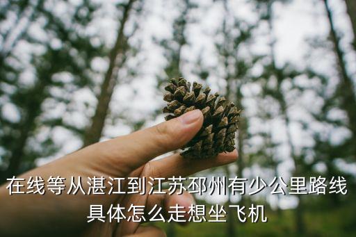 在線等從湛江到江蘇邳州有少公里路線具體怎么走想坐飛機(jī)