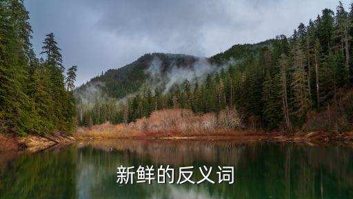 新鮮的反義詞