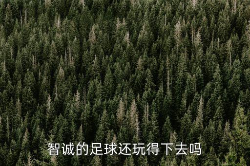 廣州恒豐智誠足球，今天智誠與湘濤足球結果