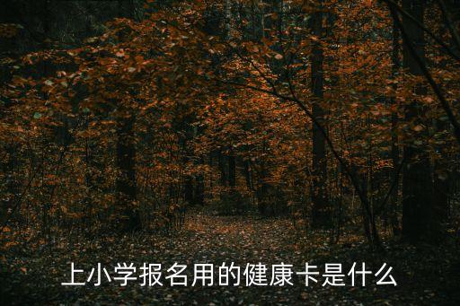 上海市兒童健康卡圖片，在婦幼保健站領得兒童保健卡是干什么的