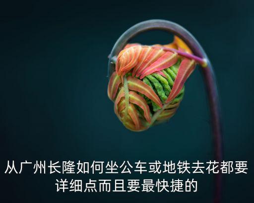 從廣州長隆如何坐公車或地鐵去花都要詳細點而且要最快捷的