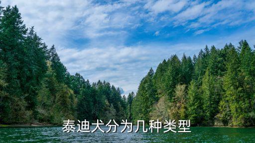 泰迪品種，請問什么品種的泰迪犬好