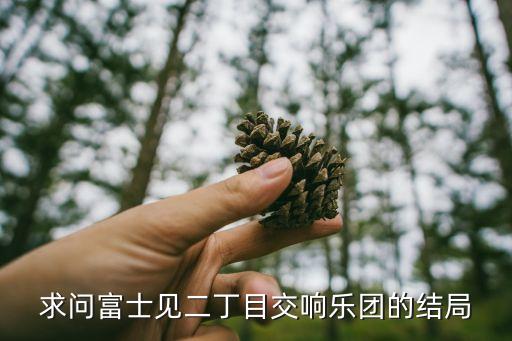 富士見二丁目交響樂團(tuán)，求問富士見二丁目交響樂團(tuán)的結(jié)局
