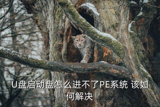 pe系統進不去，U盤PE系統進不去該怎么辦呢