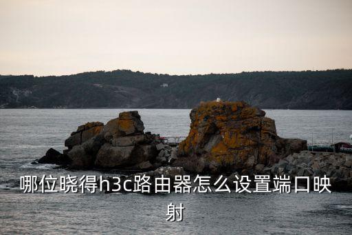 端口映射怎么設置，交換機的端口怎么映射出去