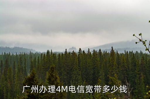 廣州拉電信寬帶收費標準，廣東電信寬帶資費