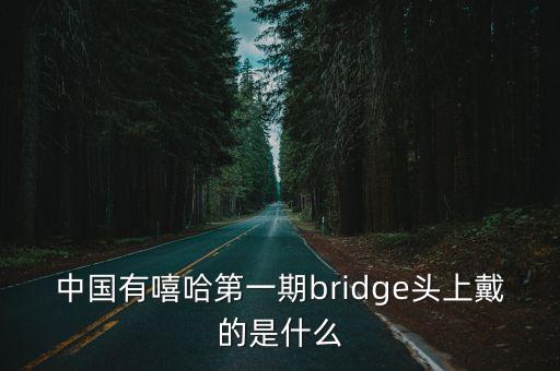中國有嘻哈第一期bridge頭上戴的是什么