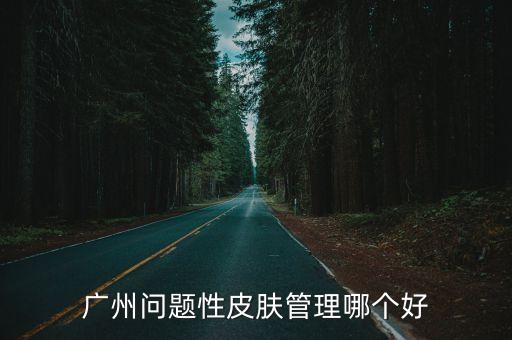 廣東廣州問題肌膚私人管理中心，廣州問題性皮膚管理哪個(gè)好