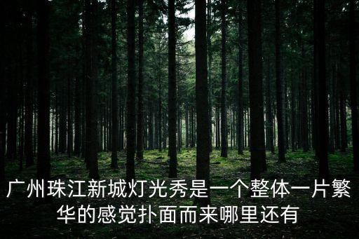 廣州珠江新城燈光秀是一個(gè)整體一片繁華的感覺(jué)撲面而來(lái)哪里還有