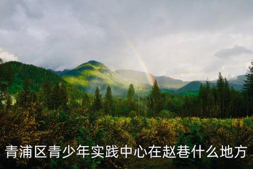 上海市青浦青少年中心電話是多少，青浦區的青少年活動中心在哪