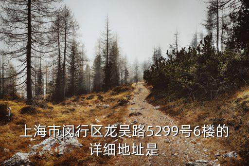 上海市閔行區龍吳路5299號6樓的詳細地址是