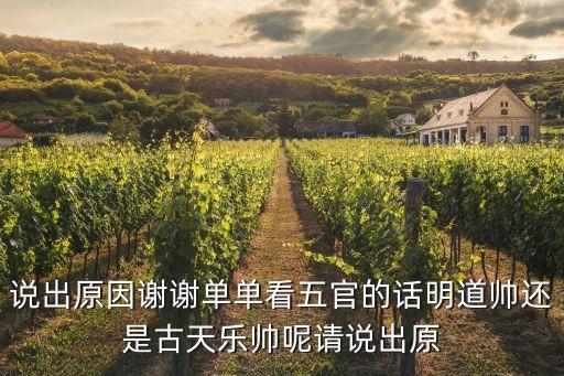 說出原因謝謝單單看五官的話明道帥還是古天樂帥呢請說出原