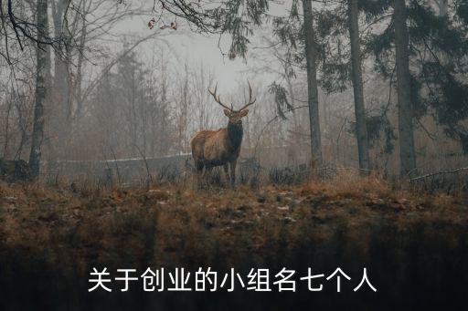 創業小組隊名，創業團隊名稱