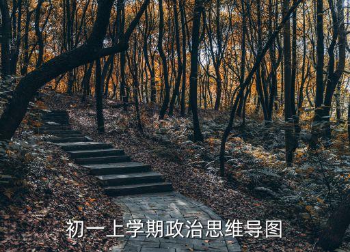 初一上學期政治思維導圖