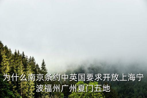 上海市通商口岸嗎，南京條約規(guī)定開放廣州廈門福州上海南京五處為通商口岸