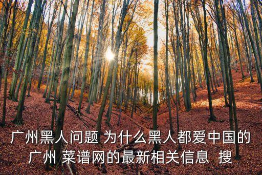 廣州黑人問題 為什么黑人都愛中國的廣州 菜譜網的最新相關信息  搜