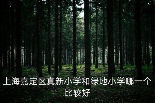 上海嘉定區真新小學和綠地小學哪一個比較好