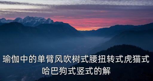 瑜伽中的單臂風吹樹式腰扭轉式虎貓式哈巴狗式豎式的解