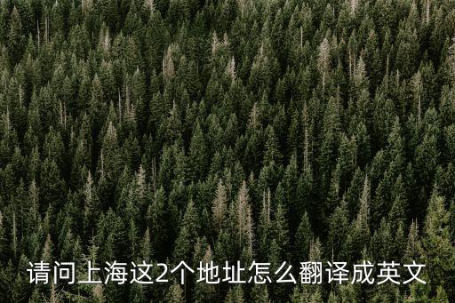 請問上海這2個地址怎么翻譯成英文