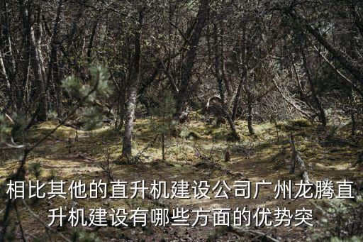 相比其他的直升機(jī)建設(shè)公司廣州龍騰直升機(jī)建設(shè)有哪些方面的優(yōu)勢(shì)突