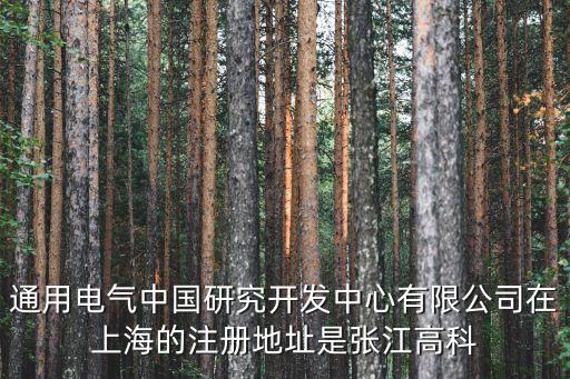 通用電氣中國研究開發(fā)中心有限公司在上海的注冊地址是張江高科